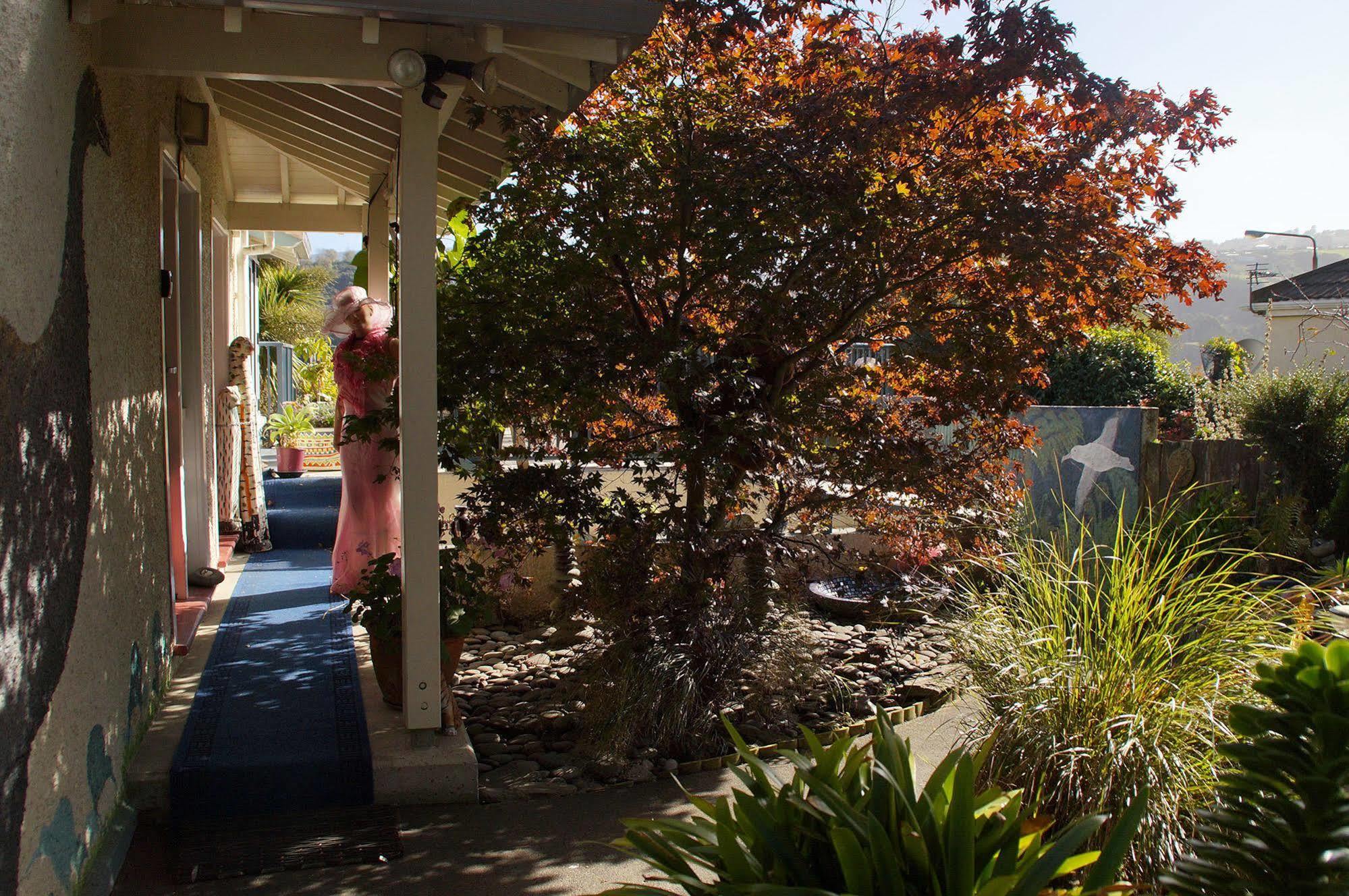 Bed and Breakfast Arden Street House à Dunedin Extérieur photo